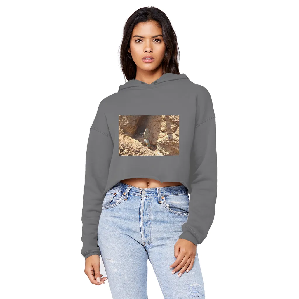 Cactus Unisex Cropped Raw Edge Boyfriend Hoodie