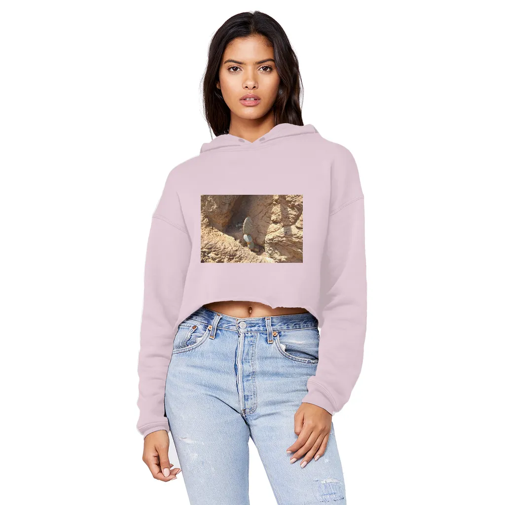 Cactus Unisex Cropped Raw Edge Boyfriend Hoodie