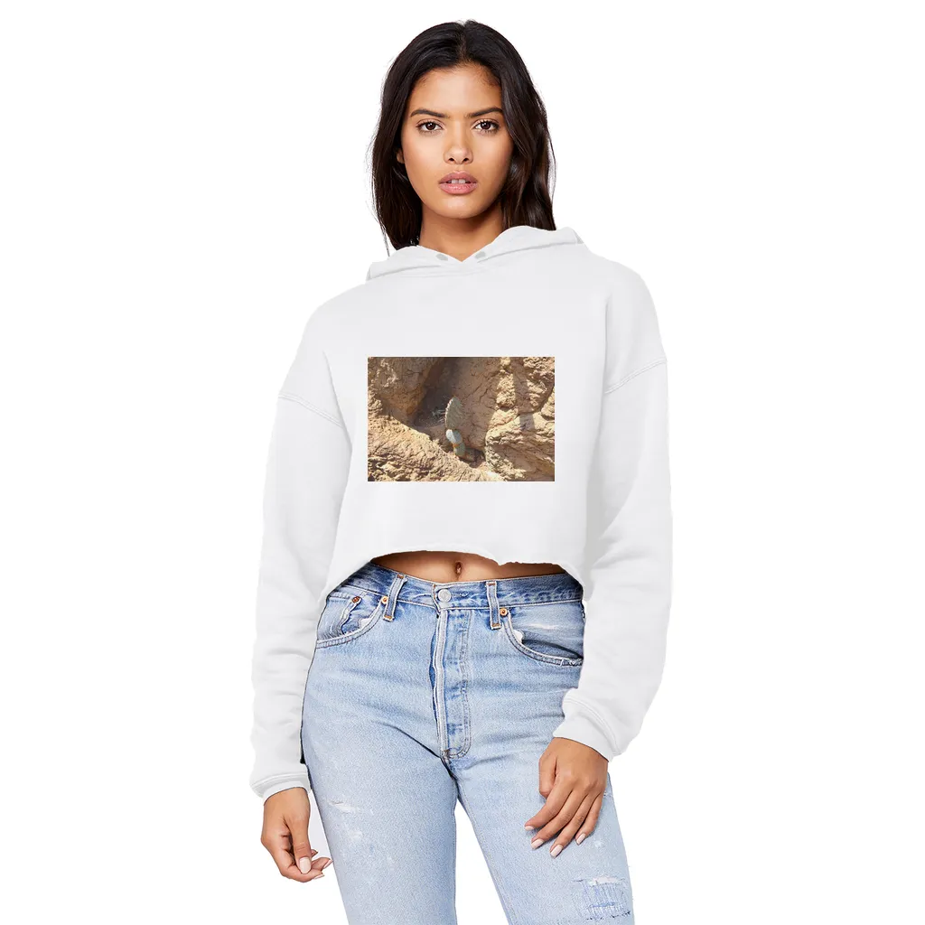 Cactus Unisex Cropped Raw Edge Boyfriend Hoodie