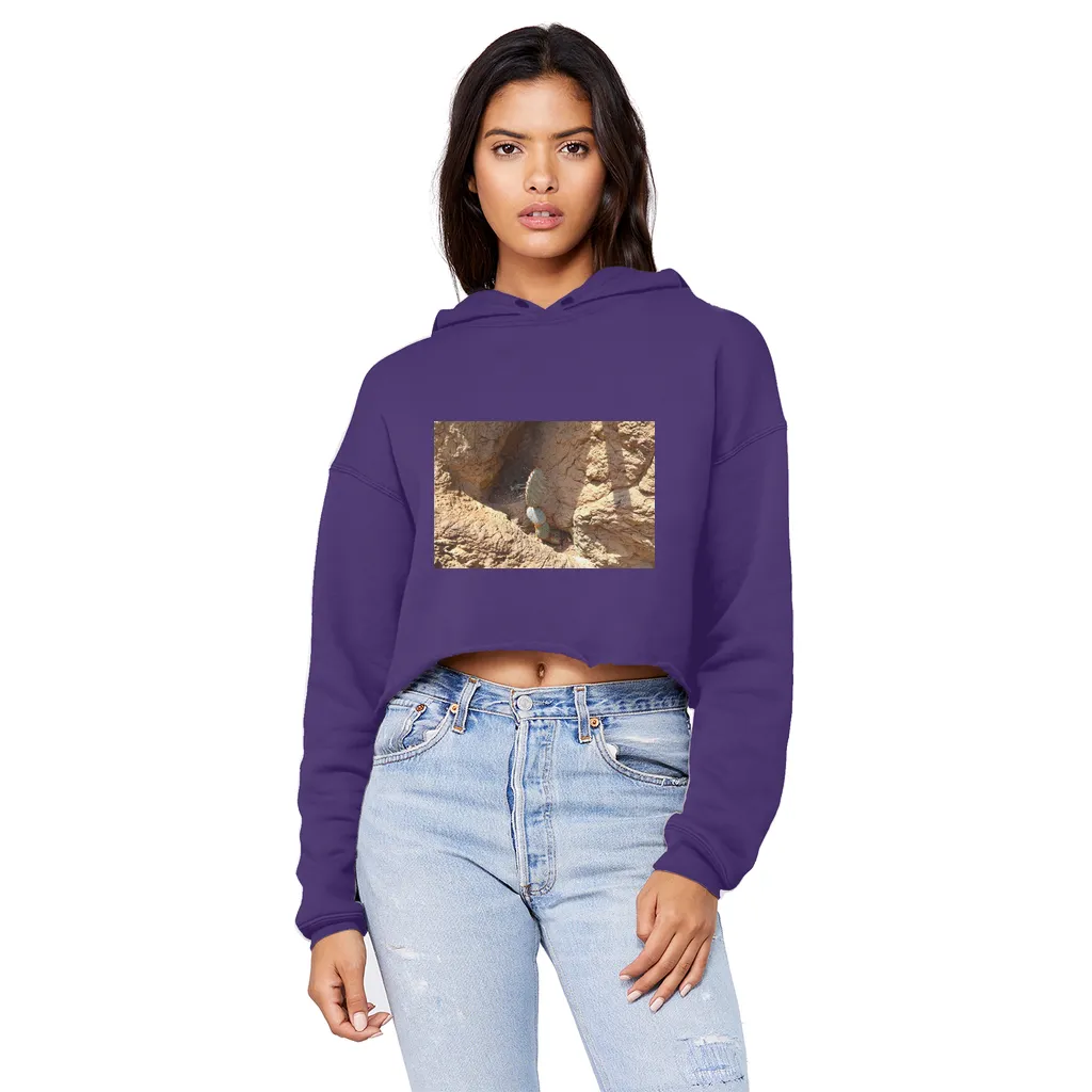 Cactus Unisex Cropped Raw Edge Boyfriend Hoodie