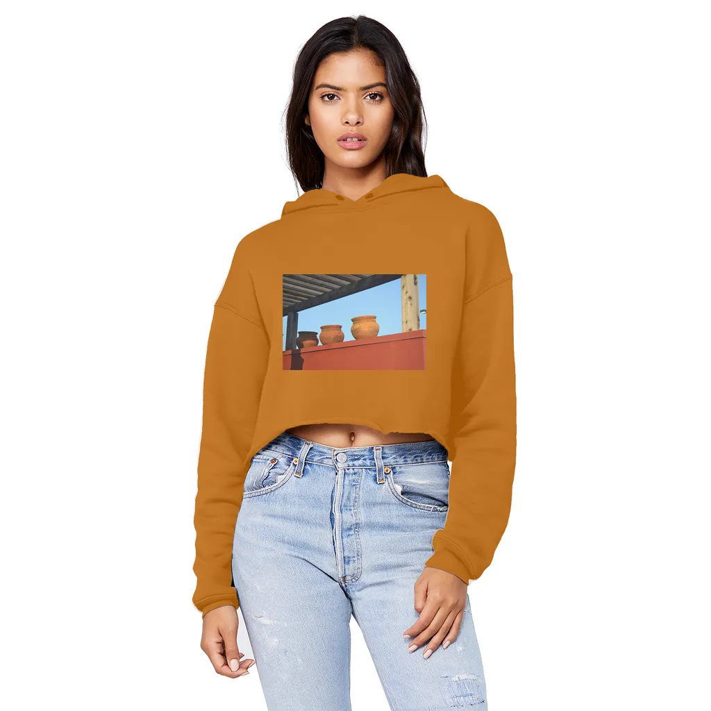 DecorativeVases Unisex Cropped Raw Edge Boyfriend Hoodie