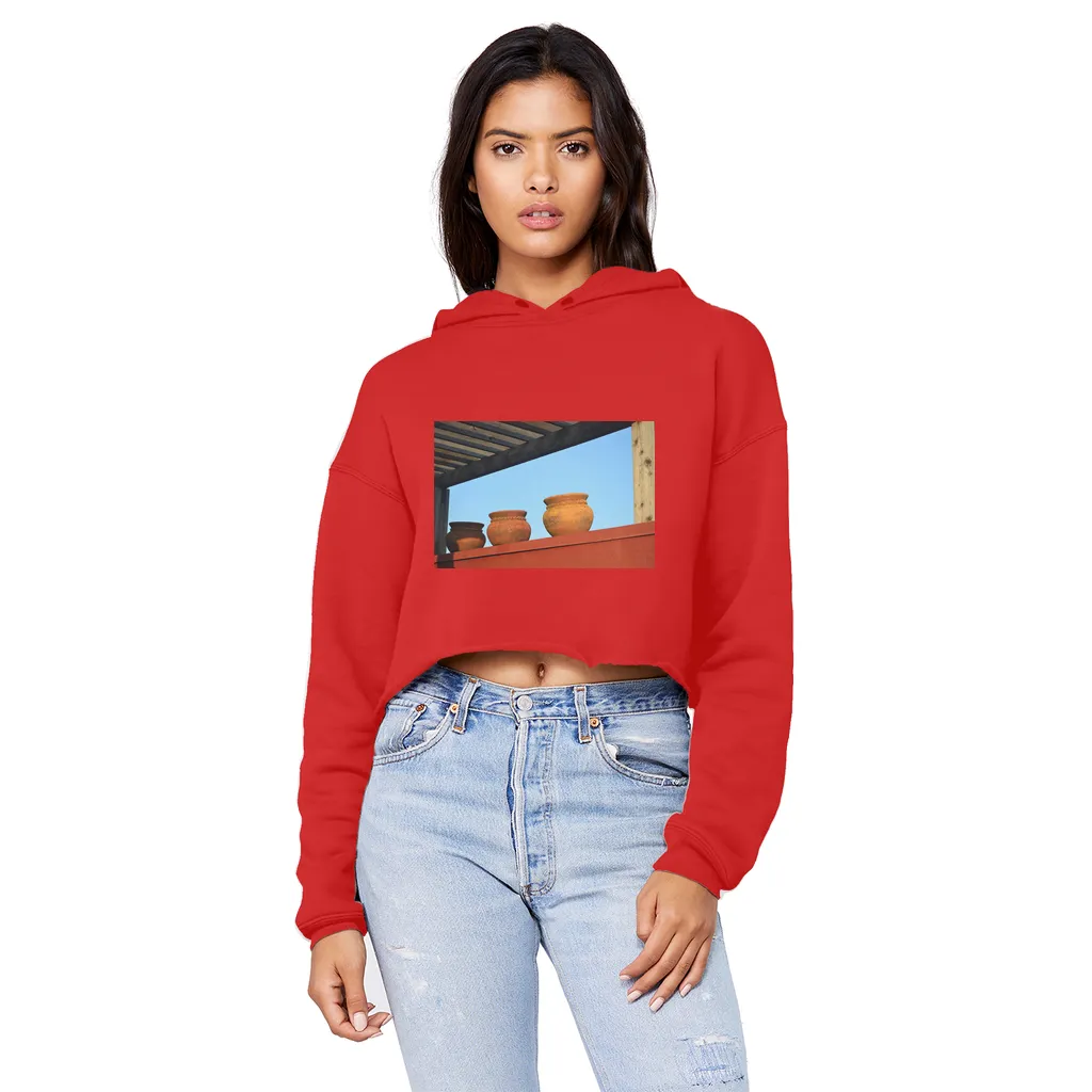 DecorativeVases2 Unisex Cropped Raw Edge Boyfriend Hoodie