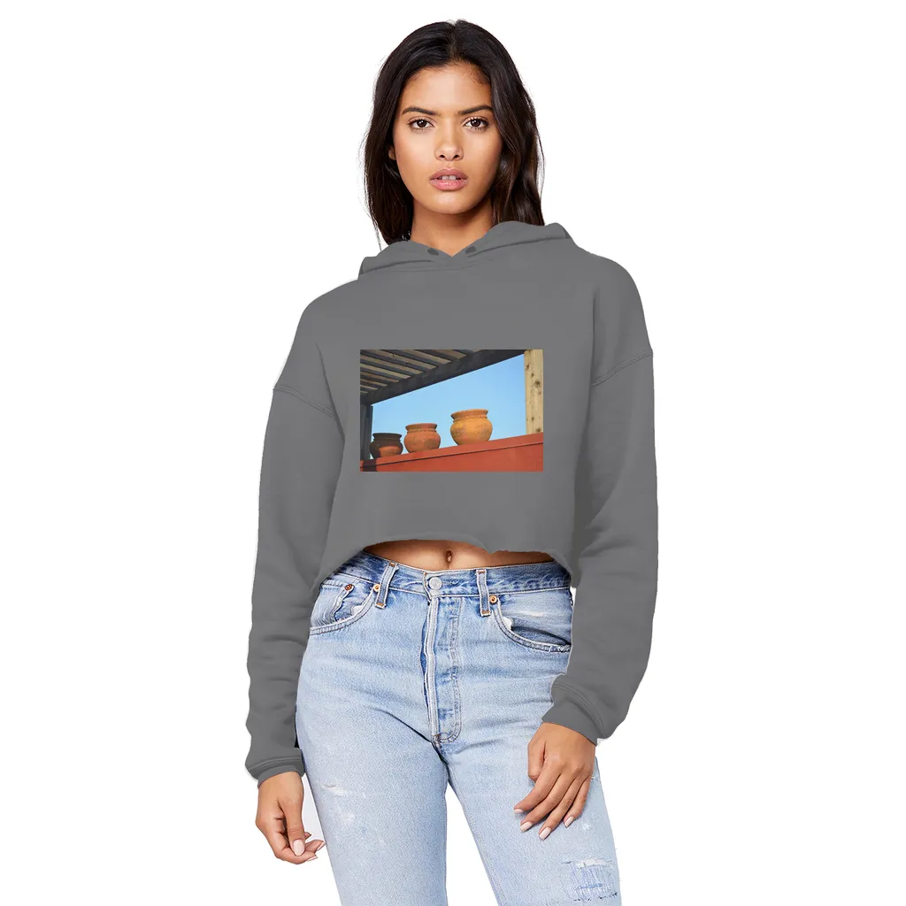 DecorativeVases2 Unisex Cropped Raw Edge Boyfriend Hoodie
