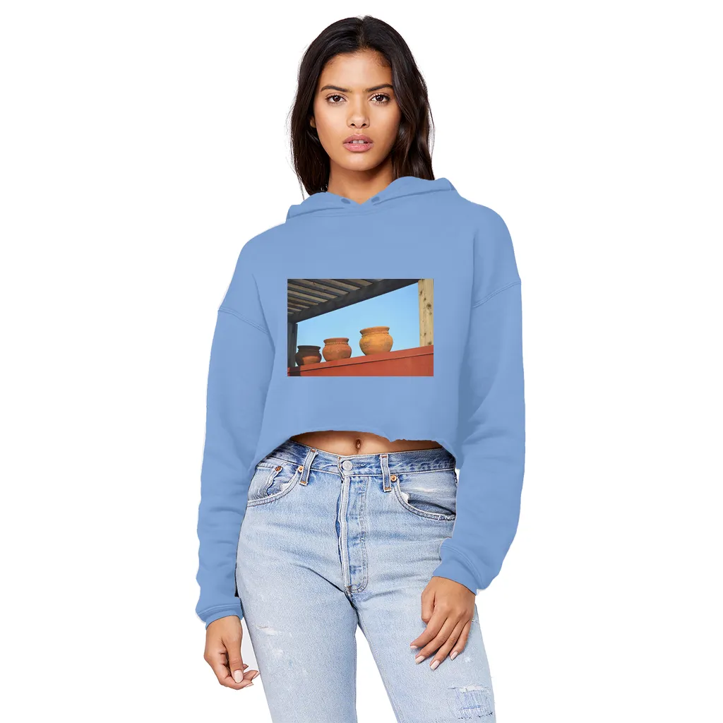 DecorativeVases2 Unisex Cropped Raw Edge Boyfriend Hoodie