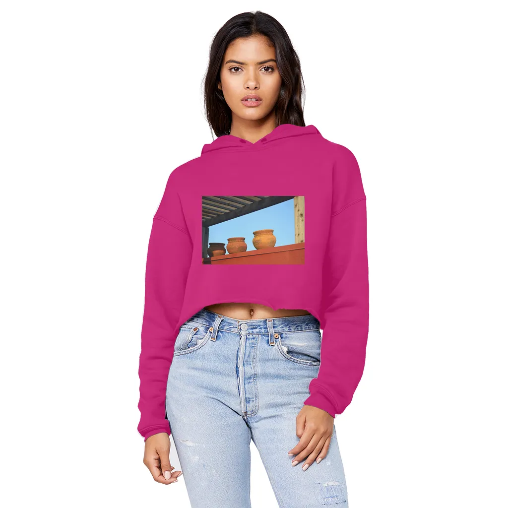 DecorativeVases2 Unisex Cropped Raw Edge Boyfriend Hoodie