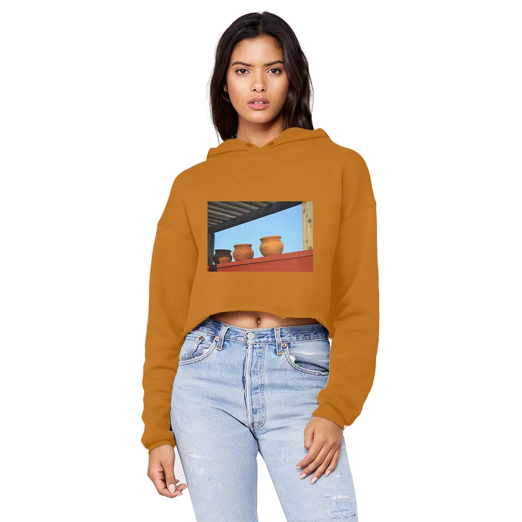 DecorativeVases2 Unisex Cropped Raw Edge Boyfriend Hoodie