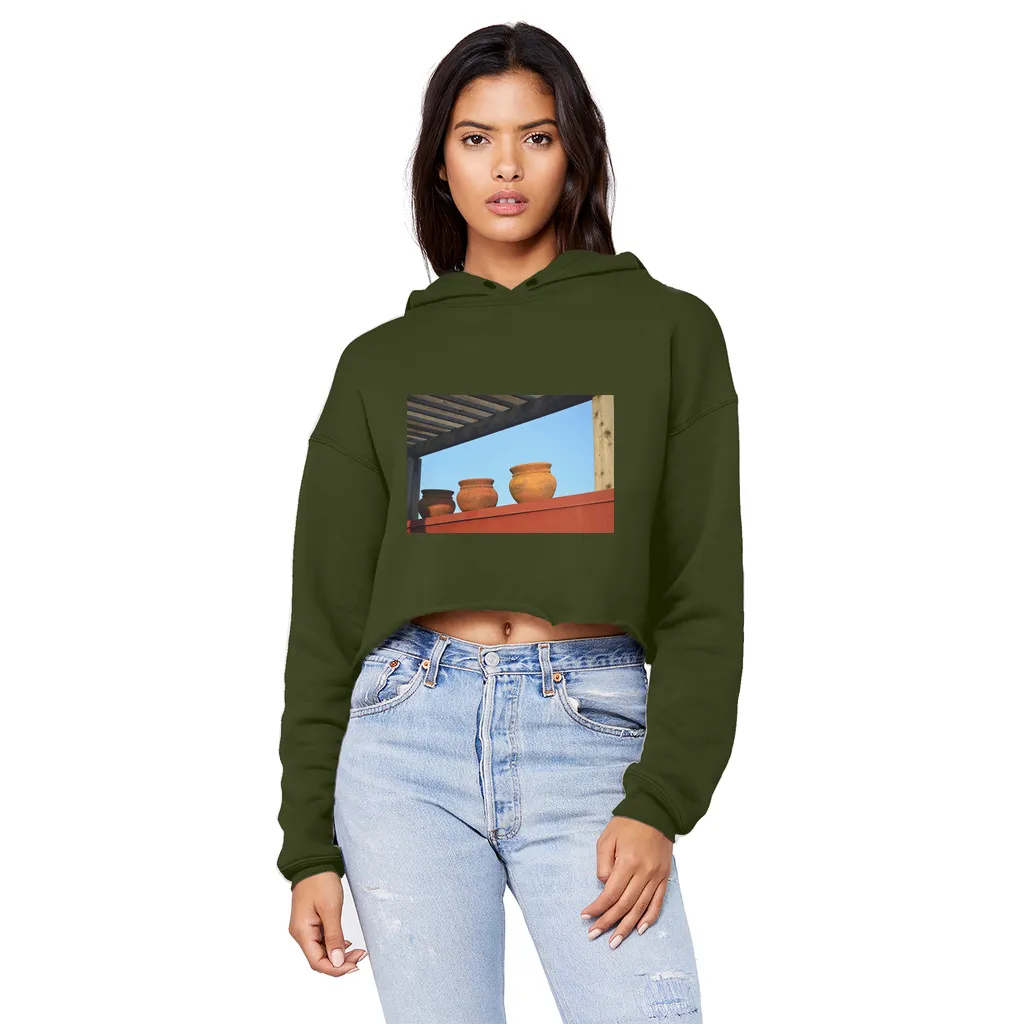 DecorativeVases2 Unisex Cropped Raw Edge Boyfriend Hoodie