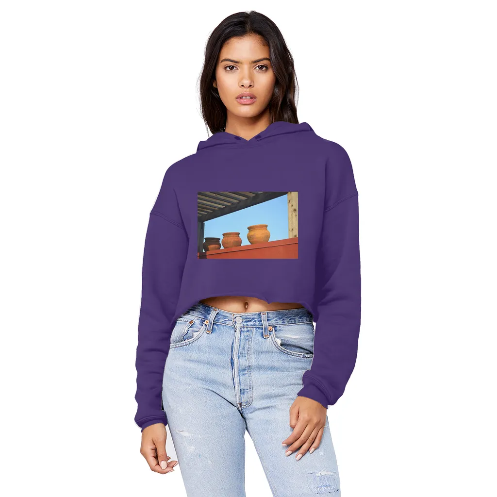 DecorativeVases2 Unisex Cropped Raw Edge Boyfriend Hoodie