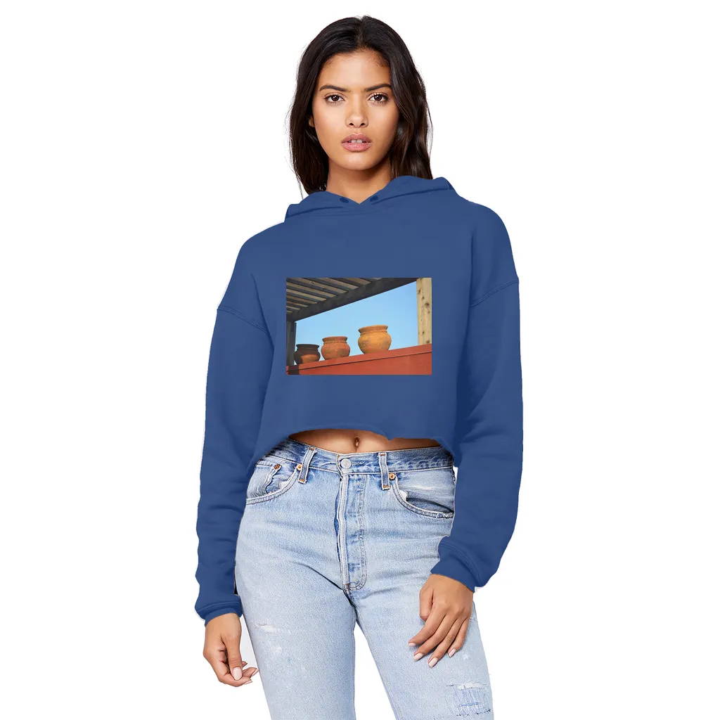DecorativeVases2 Unisex Cropped Raw Edge Boyfriend Hoodie