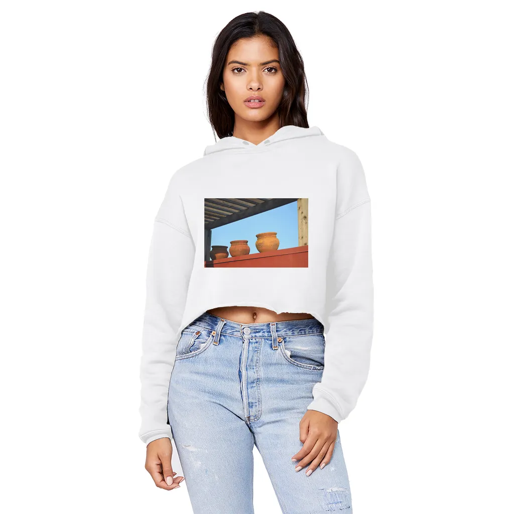 DecorativeVases2 Unisex Cropped Raw Edge Boyfriend Hoodie