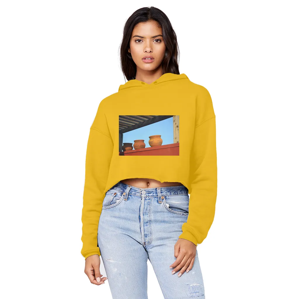 DecorativeVases2 Unisex Cropped Raw Edge Boyfriend Hoodie