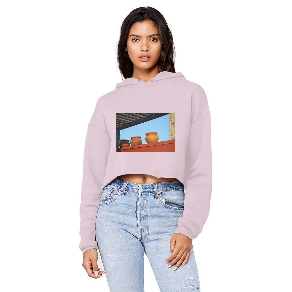 DecorativeVases2 Unisex Cropped Raw Edge Boyfriend Hoodie