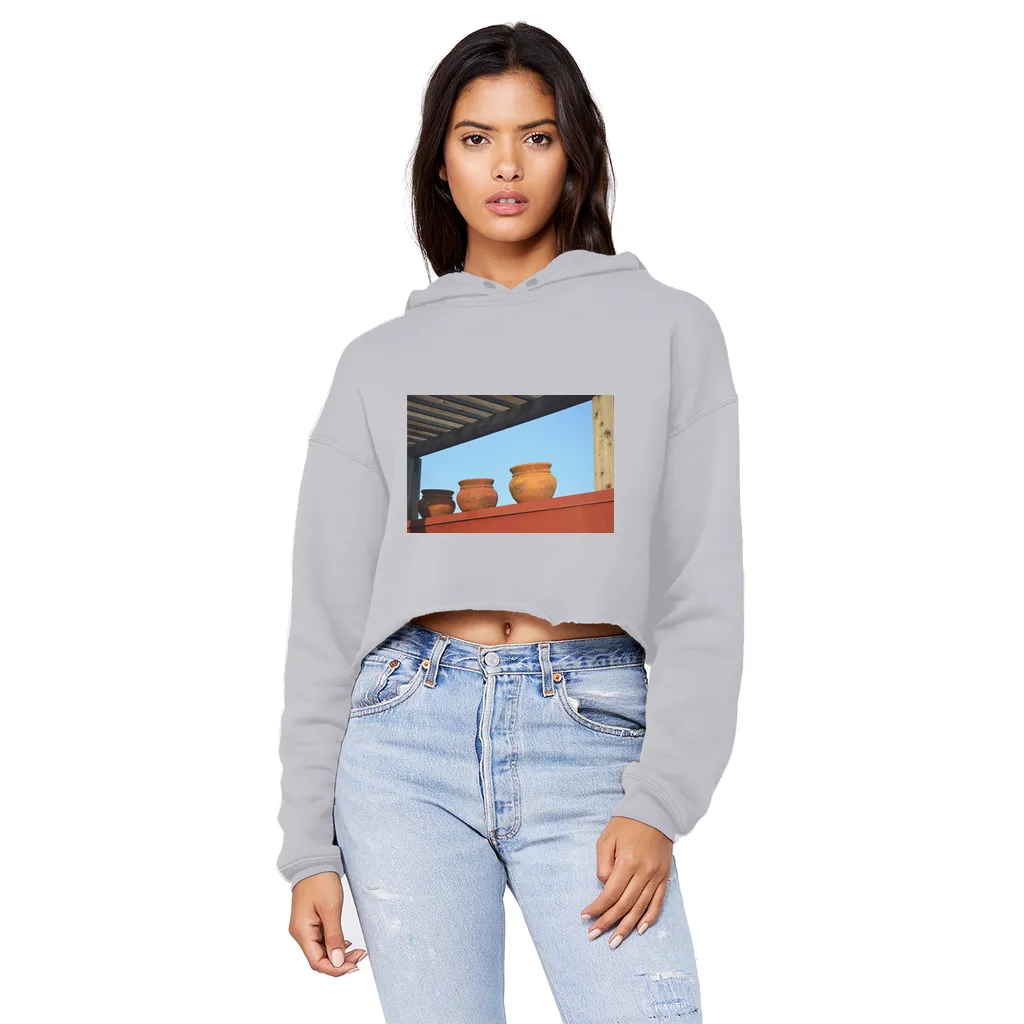 DecorativeVases2 Unisex Cropped Raw Edge Boyfriend Hoodie